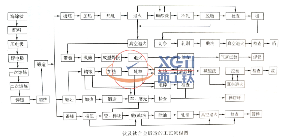 1589704902624副本副本.jpg